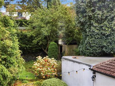 Picture 29